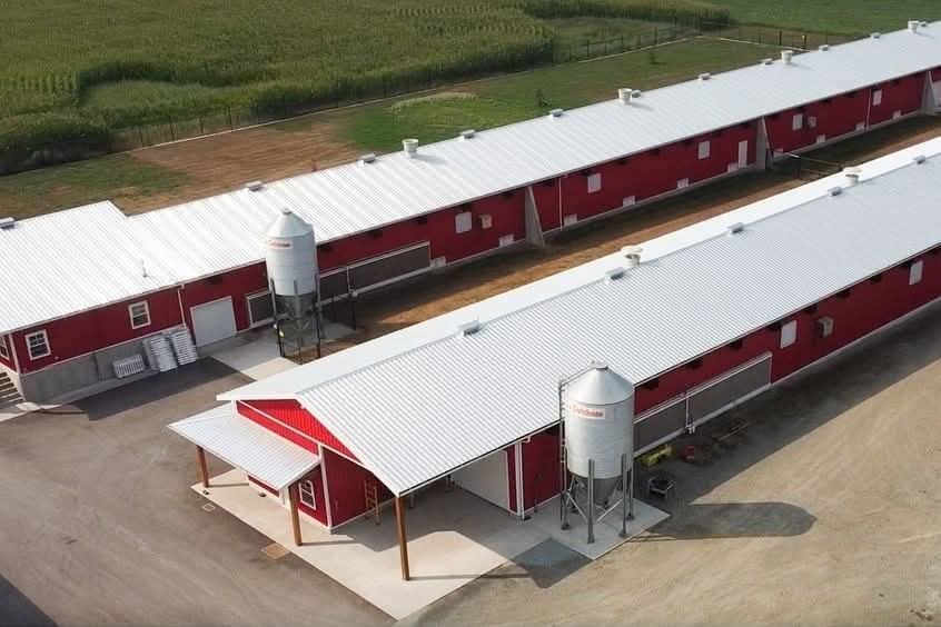 Hangar avicole moderne